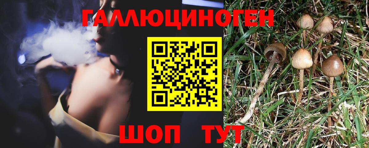 Скопин  Псилоцибиновые грибы Psilocybe  Вход с VPN 